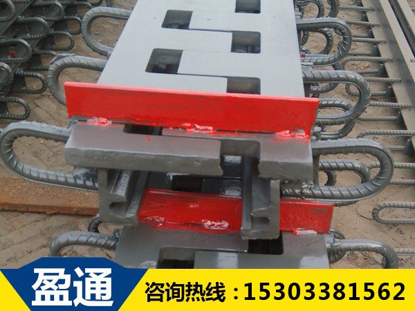 SF梳齒板式橋梁伸縮縫 SF梳齒板式橋梁伸縮縫